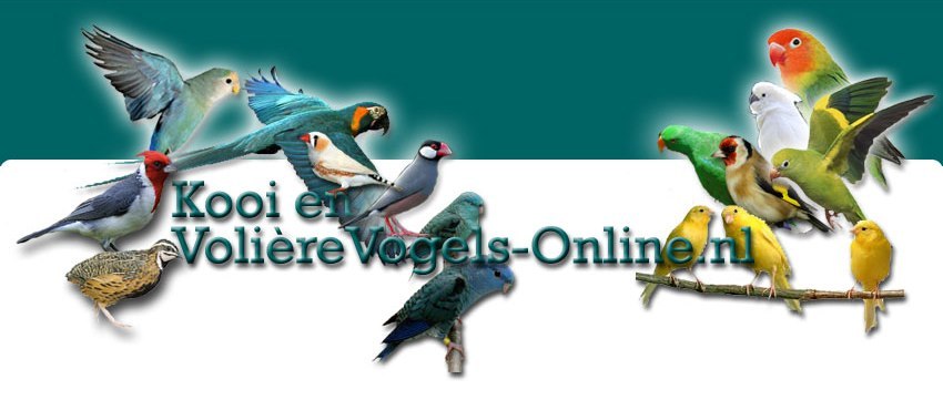 Implementeren Verdrag Bekend Richtprijzen WildzangVogels - Kooi & Volierevogels Online